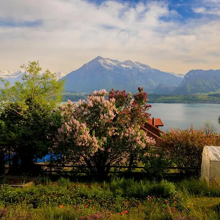 Panorama Luegisland Apartamento Oberhofen